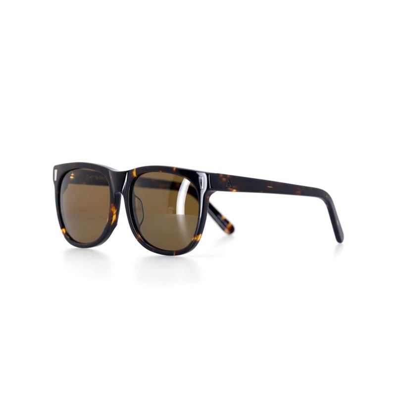 Day Tripper Brown Tortoise Sunglasses