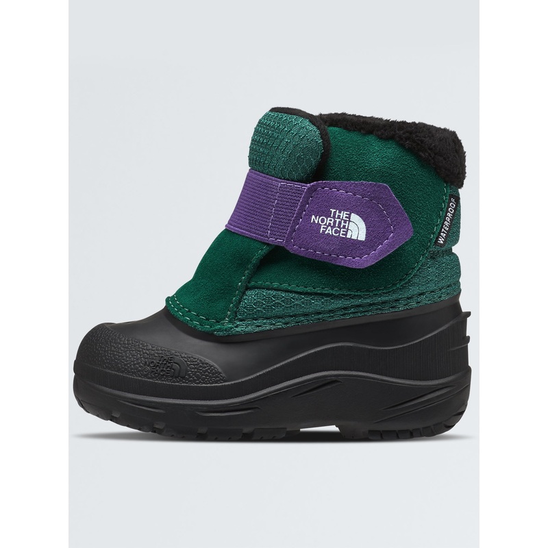 Alpenglow II Evergreen/Peak Purple Winter Boots (Kids)