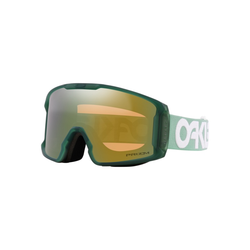 Line Miner M Matte B1B Jade/Prizm Sage Gold Goggle