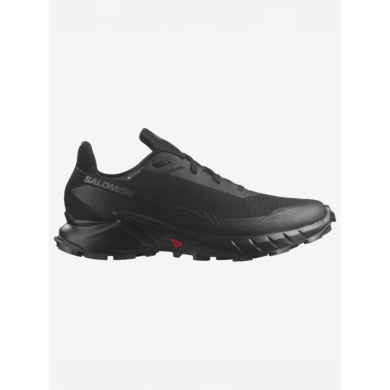 Alphacross 5 GTX Black/Black/Ebony Shoes
