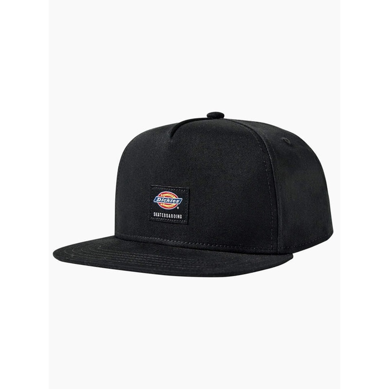 Skate Mid Flat Brim Snapback Hat