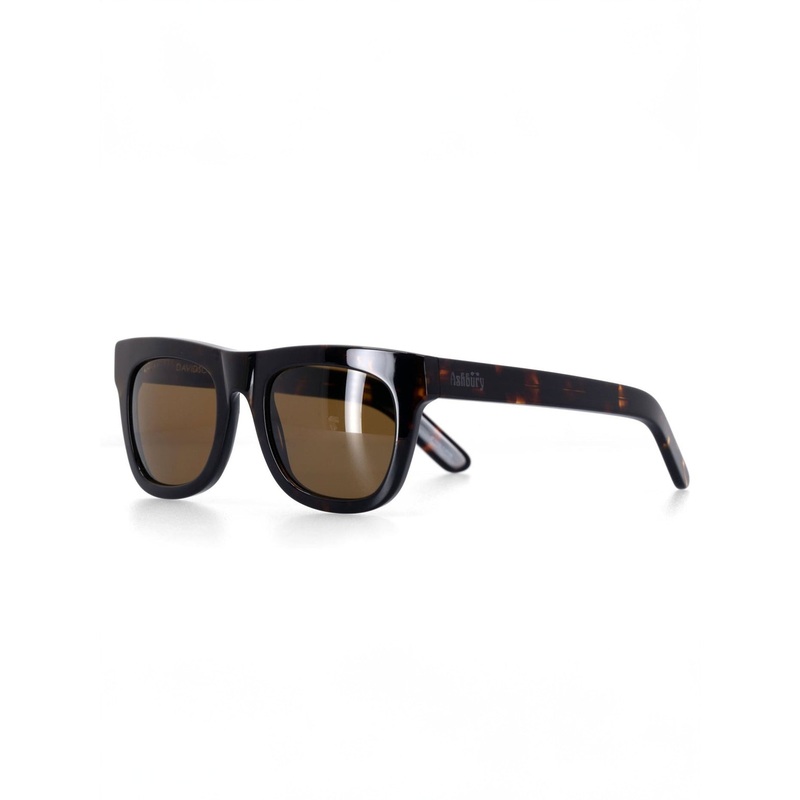 Davidson Brown Tortoise Sunglasses