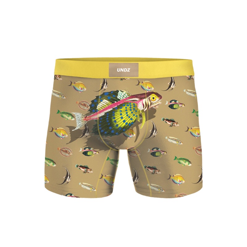 Classic Poissons Boxer|SM|MED|LRG|XL|POISSONS