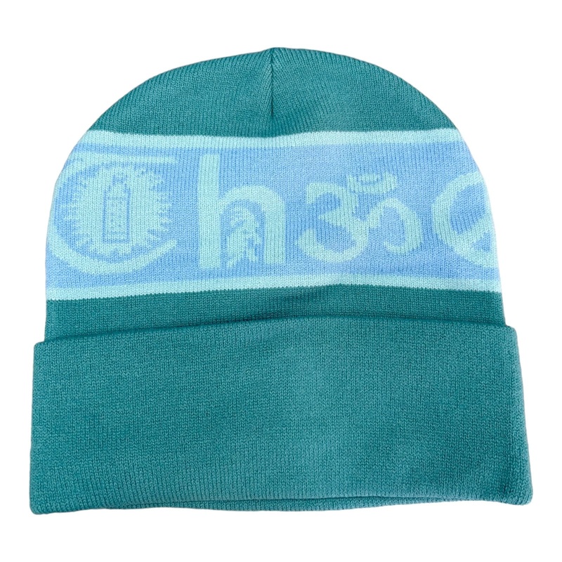 Theories Coexist Knit Beanie|Evergreen|One Size Fits All