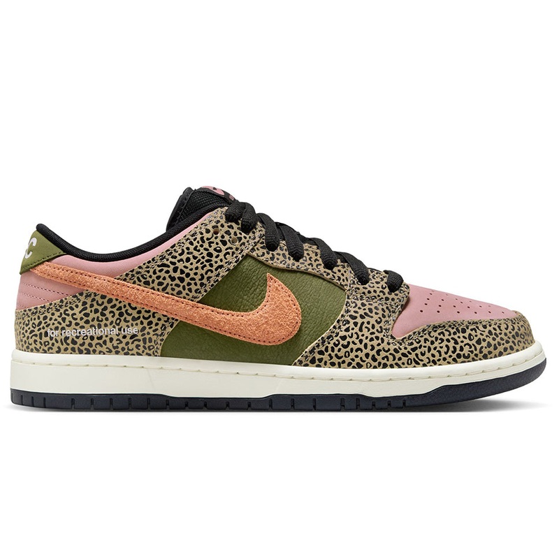 Nike SB Dunk Low Pro Arts And Rec QS Shoes