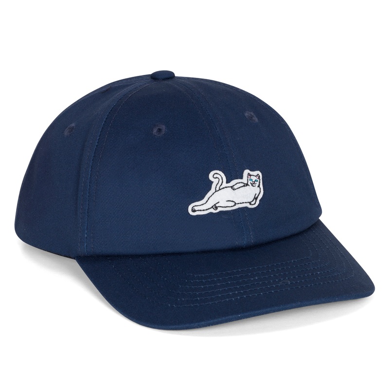 Catstanza Dad Hat (Navy)|One Size